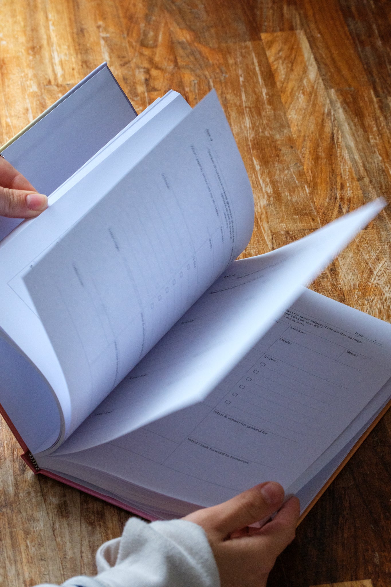 The 100-Day Planner | Gradient