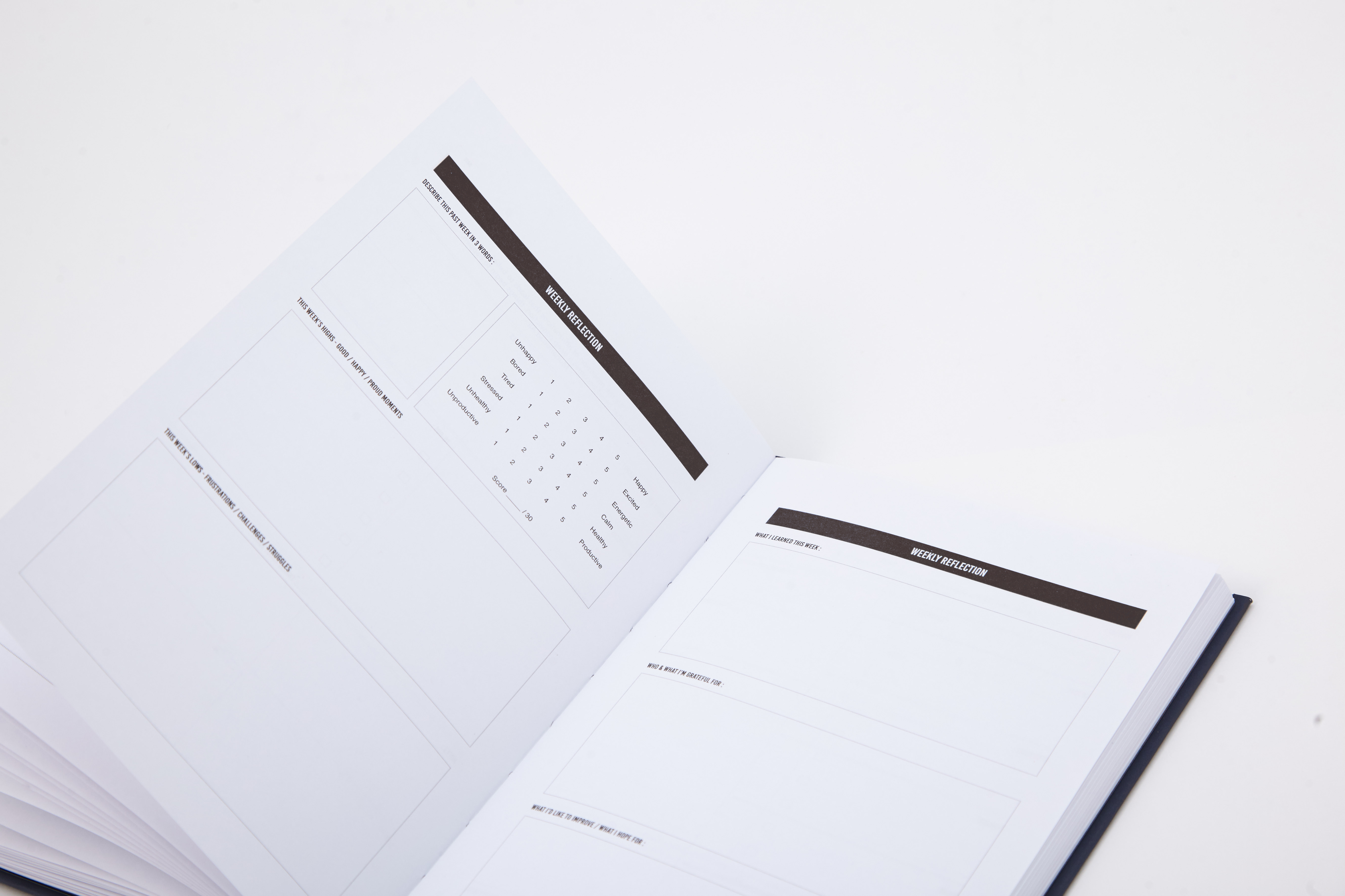 The 100-Day Planner | Gradient