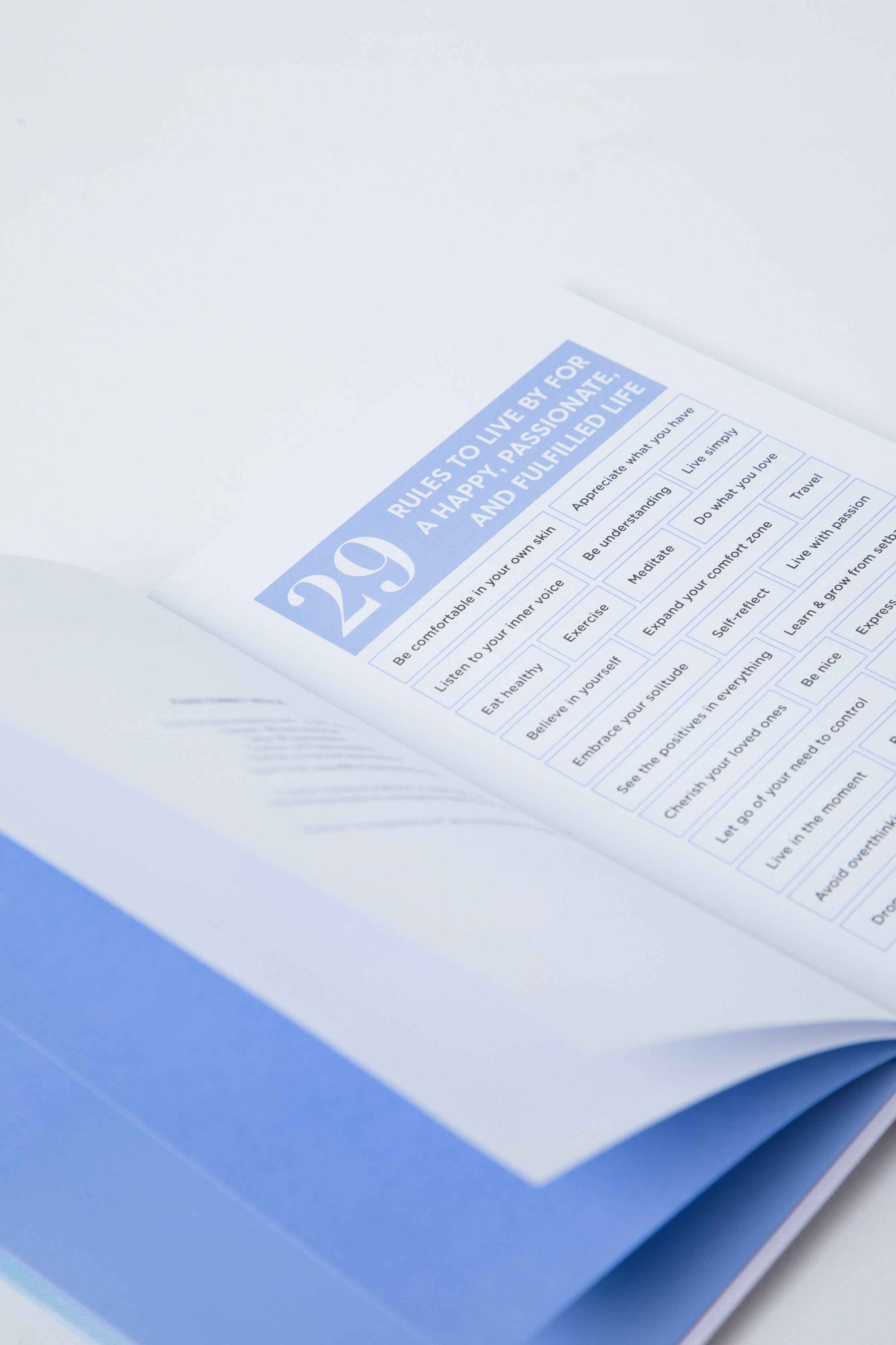 The 100-Day Planner | Blue & White - The Happiness Planner®