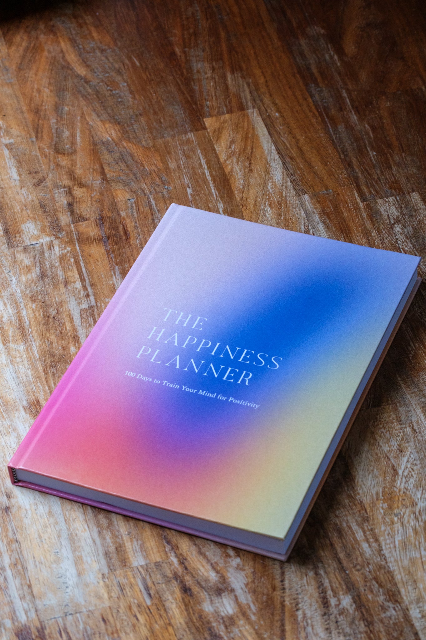 The 100-Day Planner | Gradient