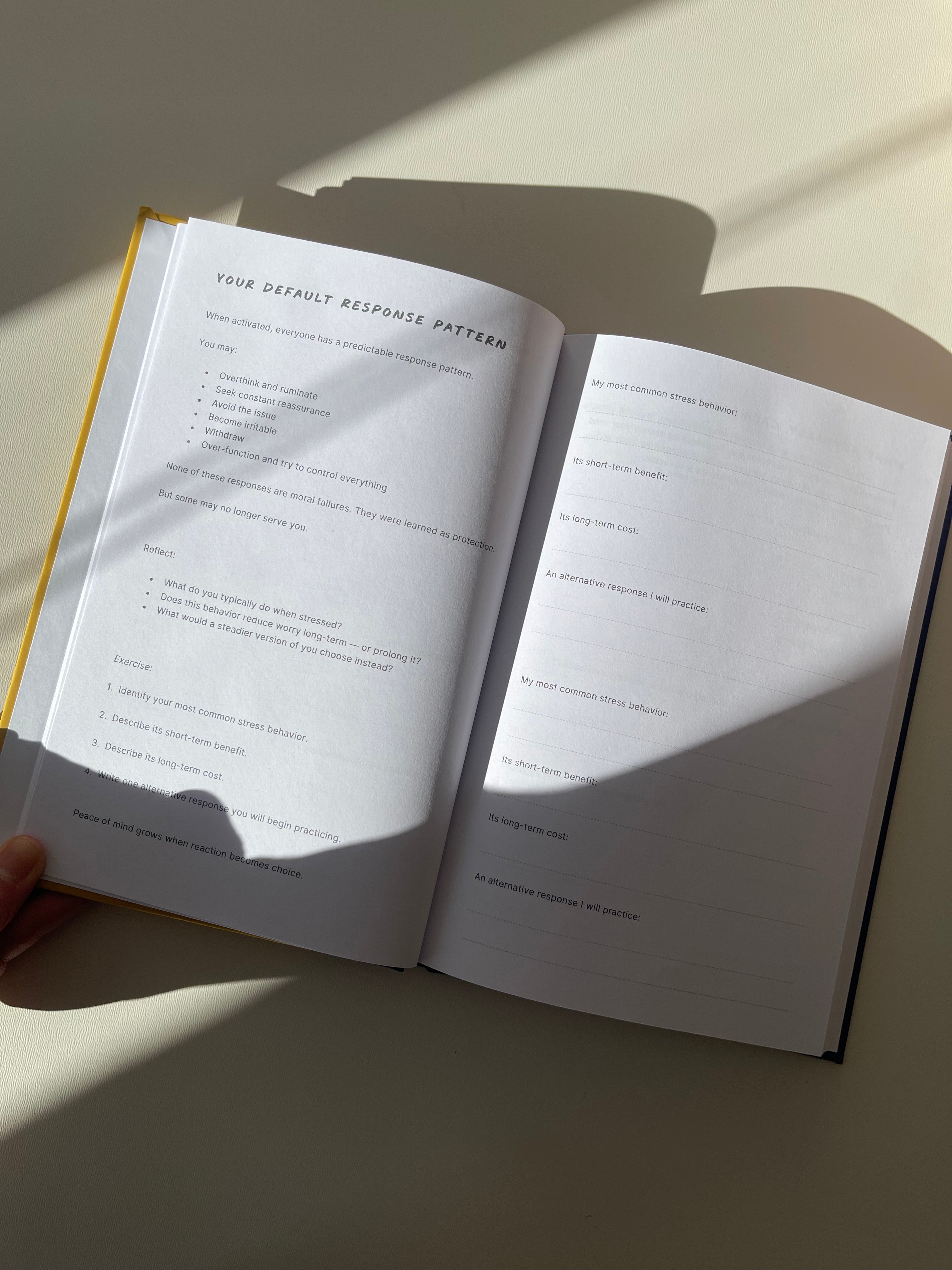 The Peace of Mind Journal