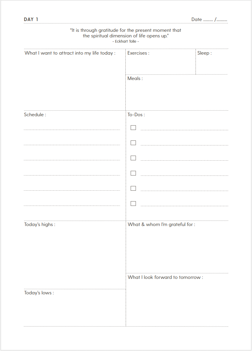 The 100-Day Planner | Calla Lily Edition