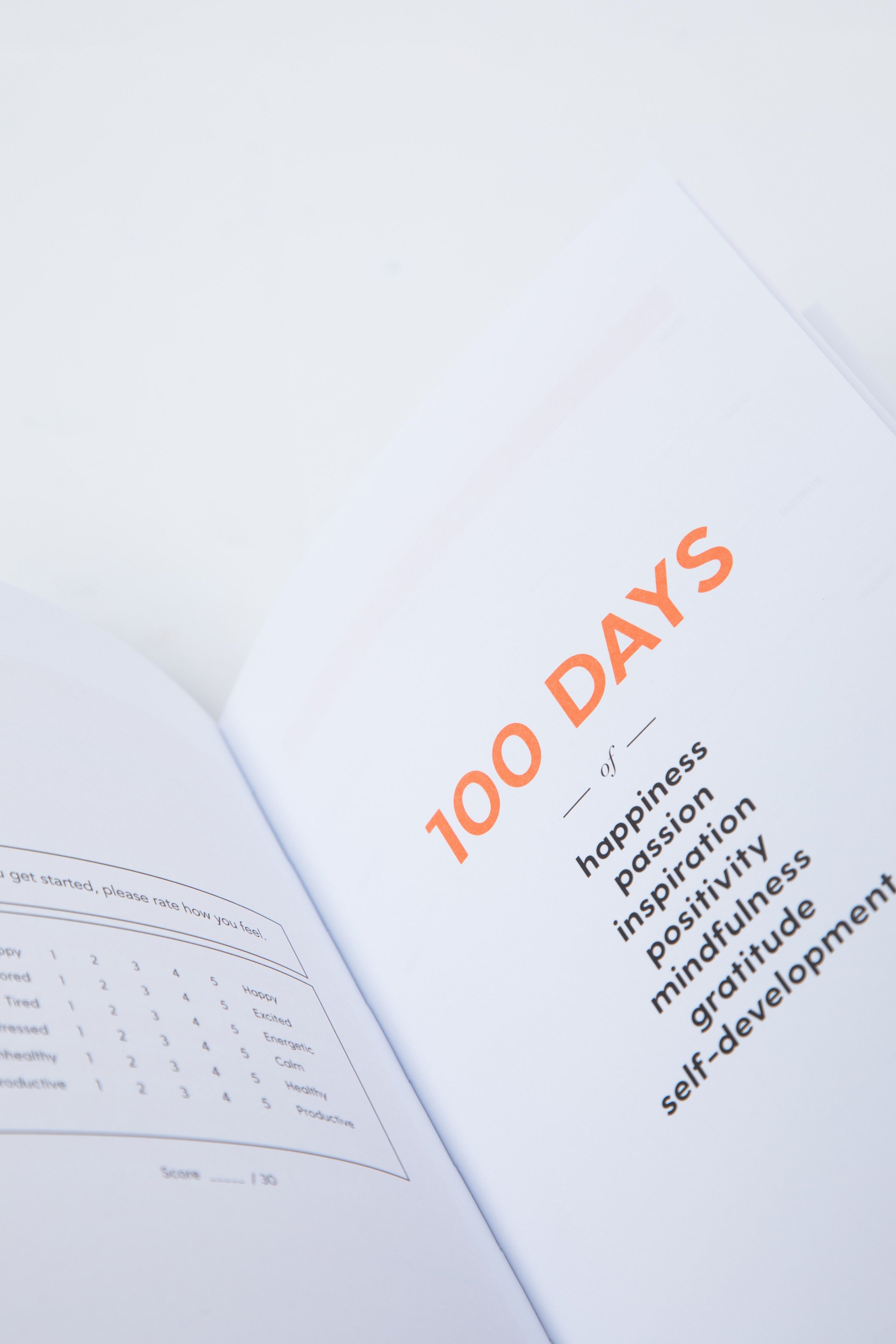 The 100-Day Planner | Orange & Pink - The Happiness Planner®