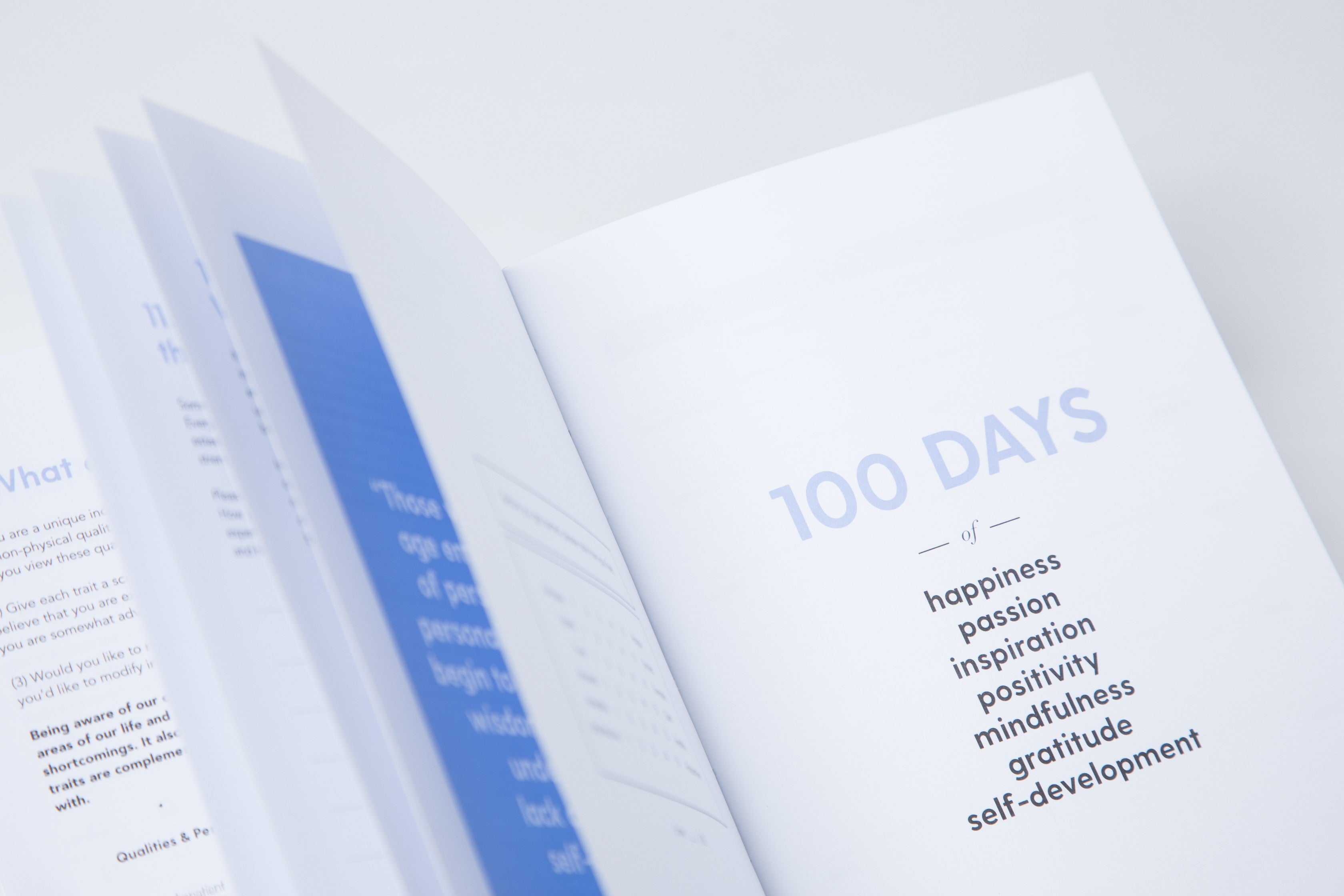 The 100-Day Planner | Blue & White - The Happiness Planner®