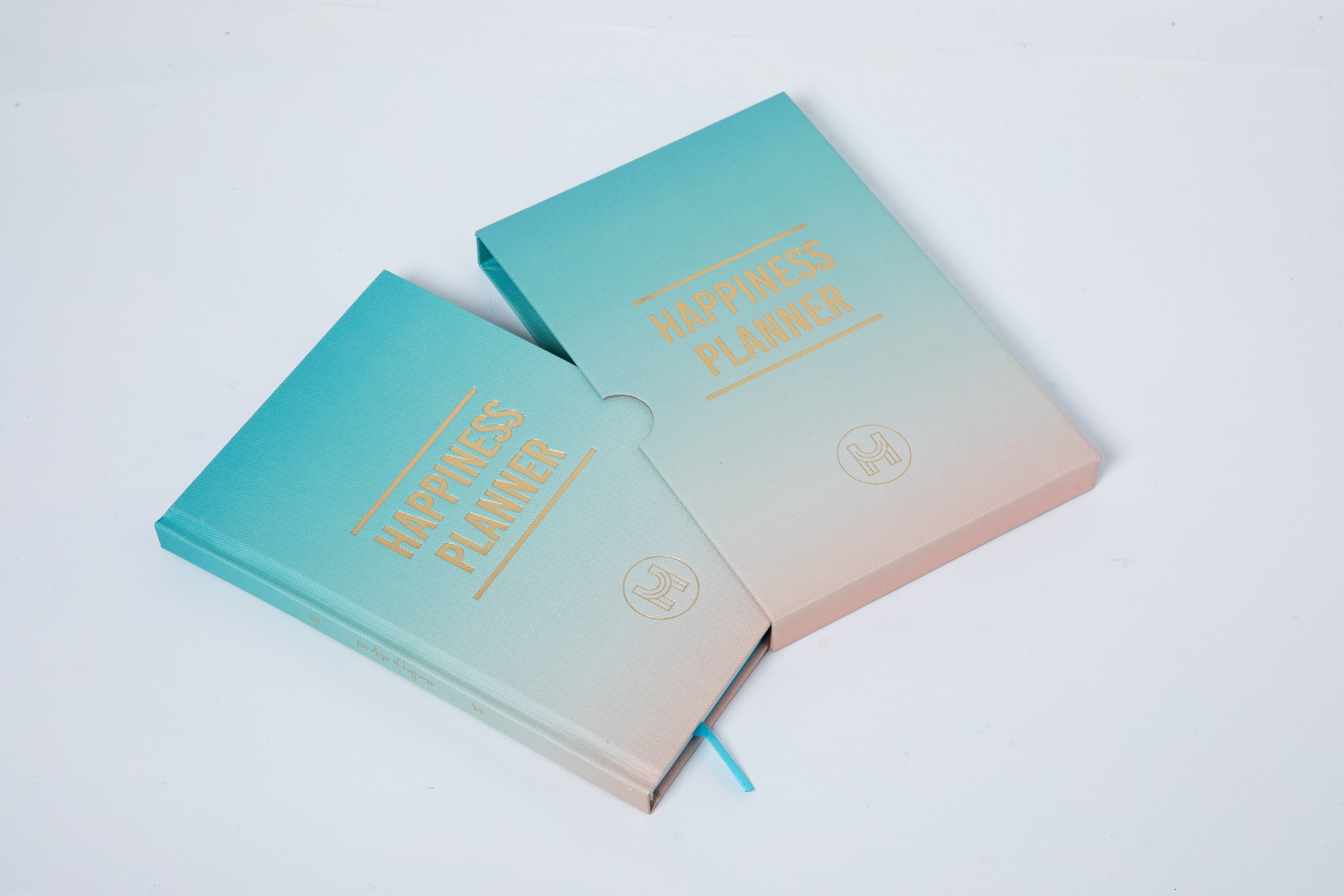 The 100-Day Planner | Mint & Cream - The Happiness Planner®