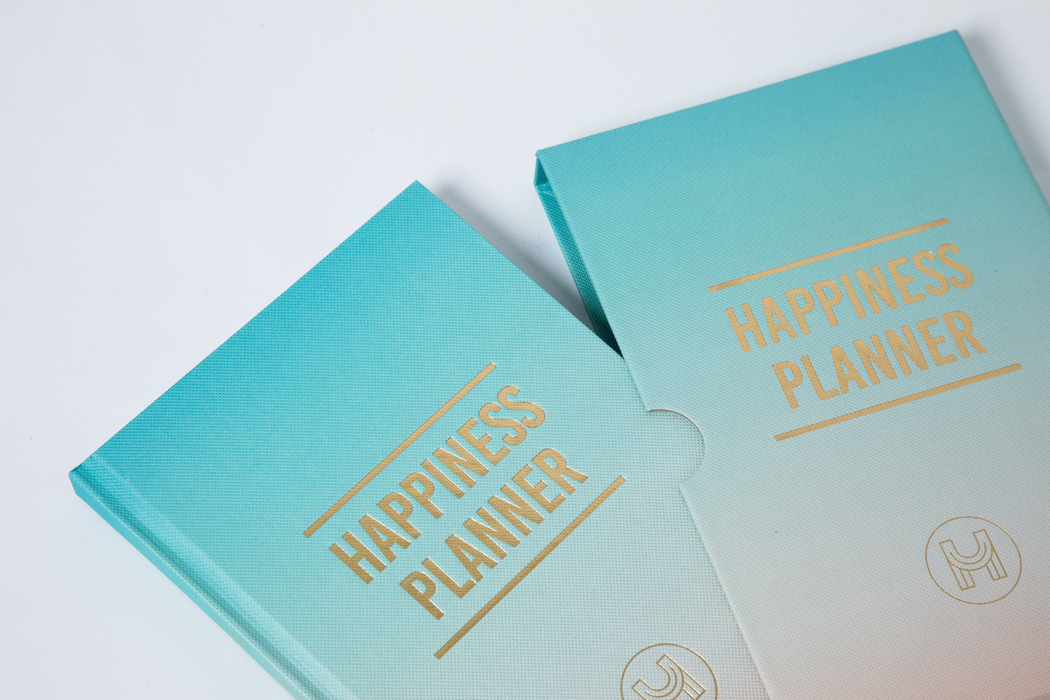 The 100-Day Planner | Mint & Cream - The Happiness Planner®