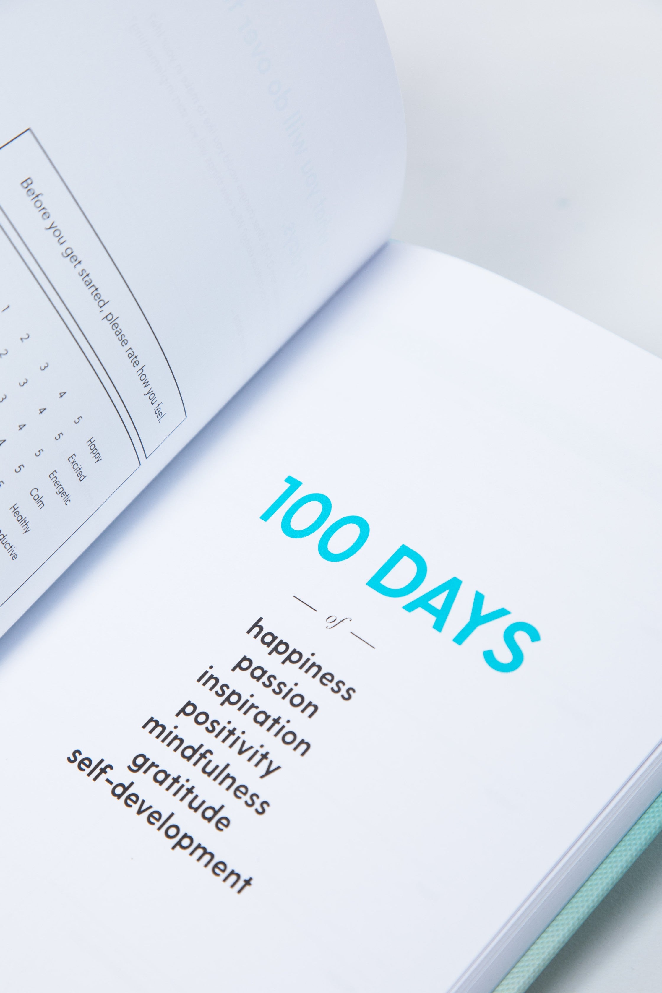 The 100-Day Planner | Mint & Cream - The Happiness Planner®