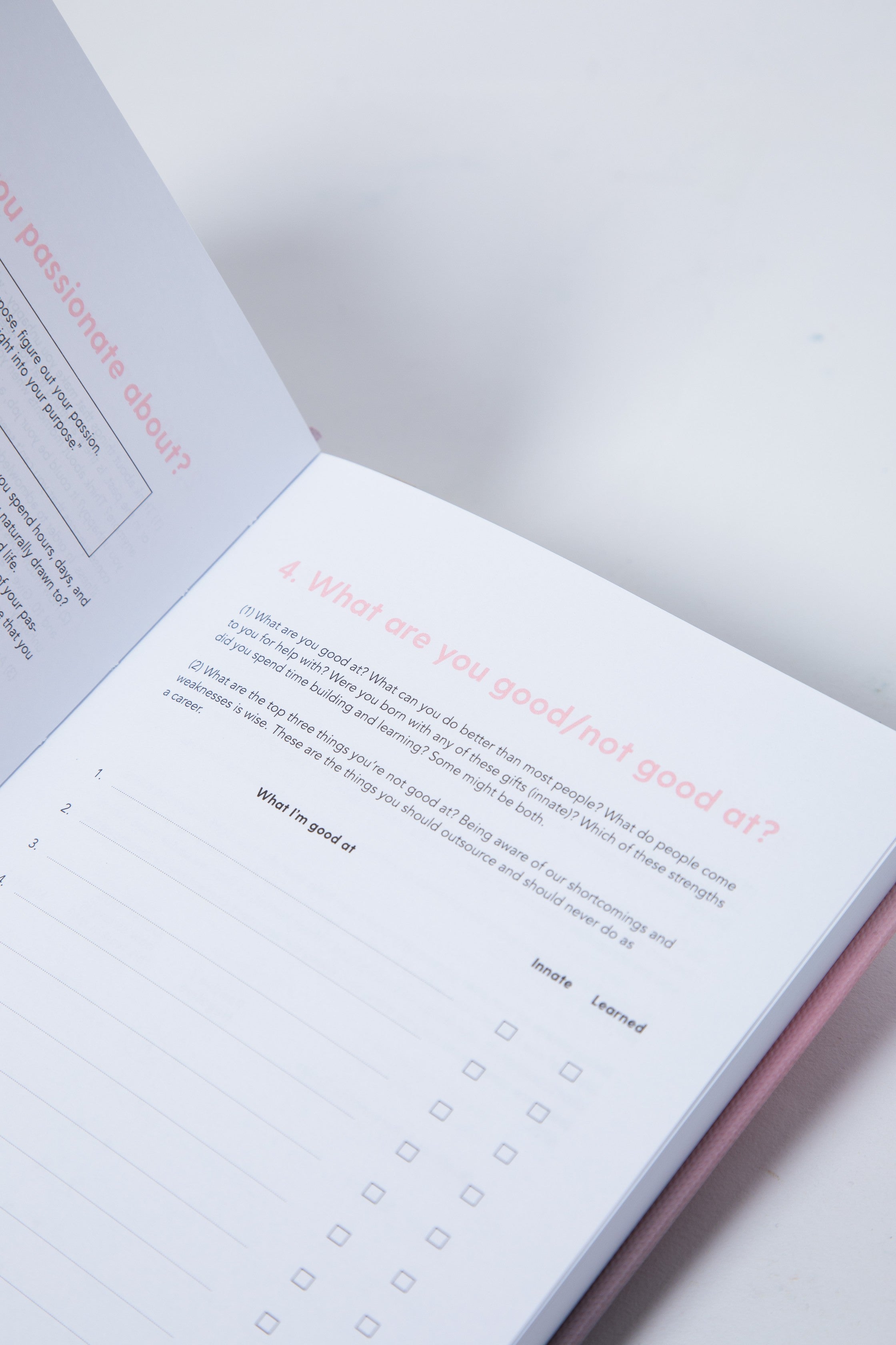 The 100-Day Planner | Pink & Charcoal - The Happiness Planner®