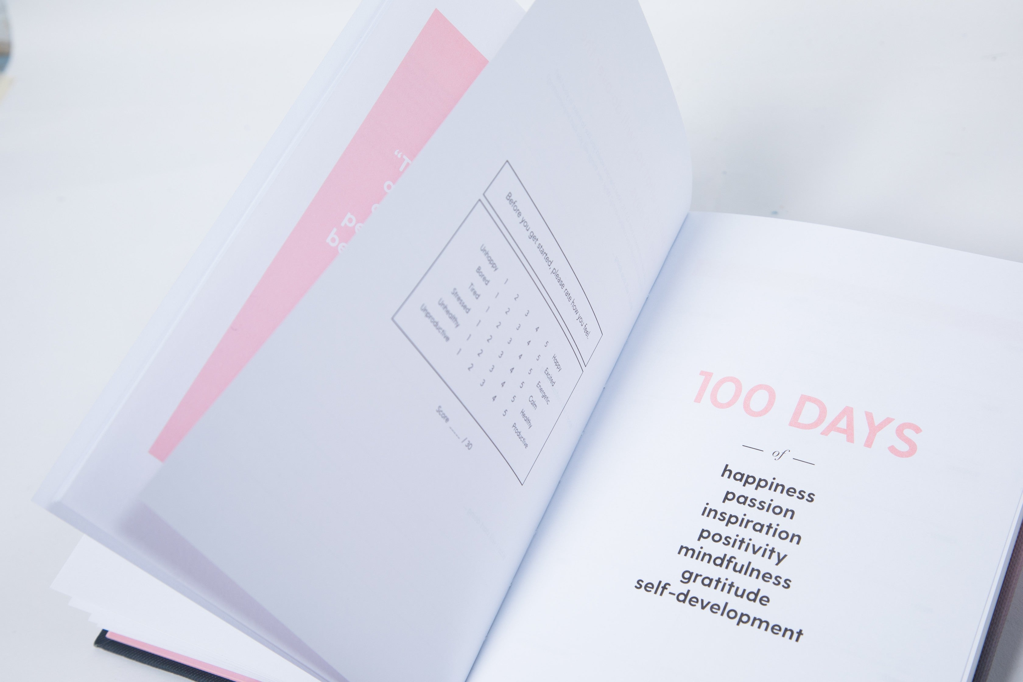 The 100-Day Planner | Pink & Charcoal - The Happiness Planner®