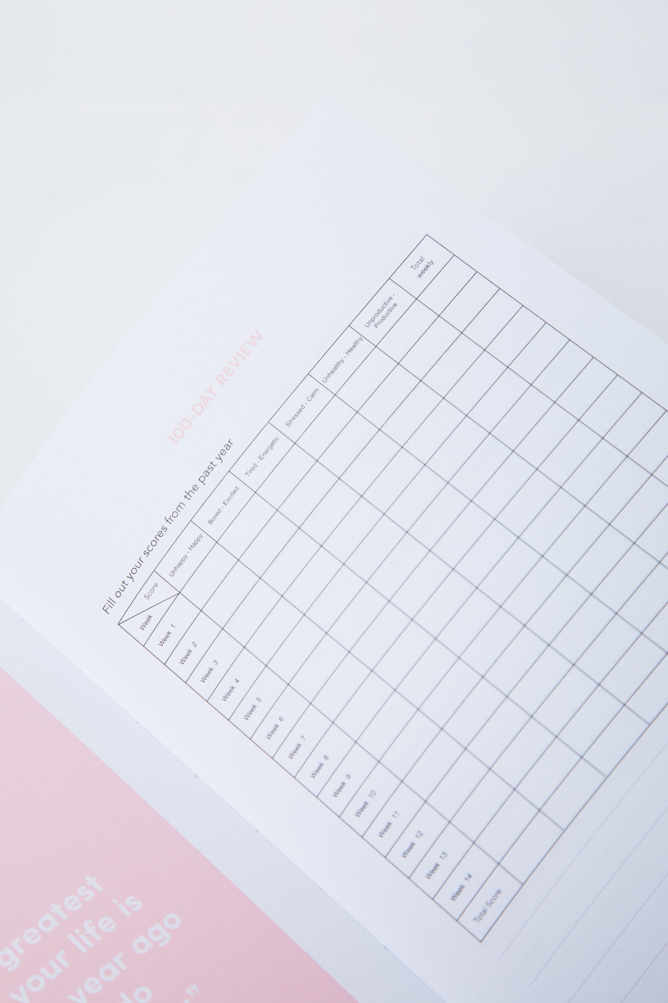 The 100-Day Planner | Pink & Charcoal - The Happiness Planner®