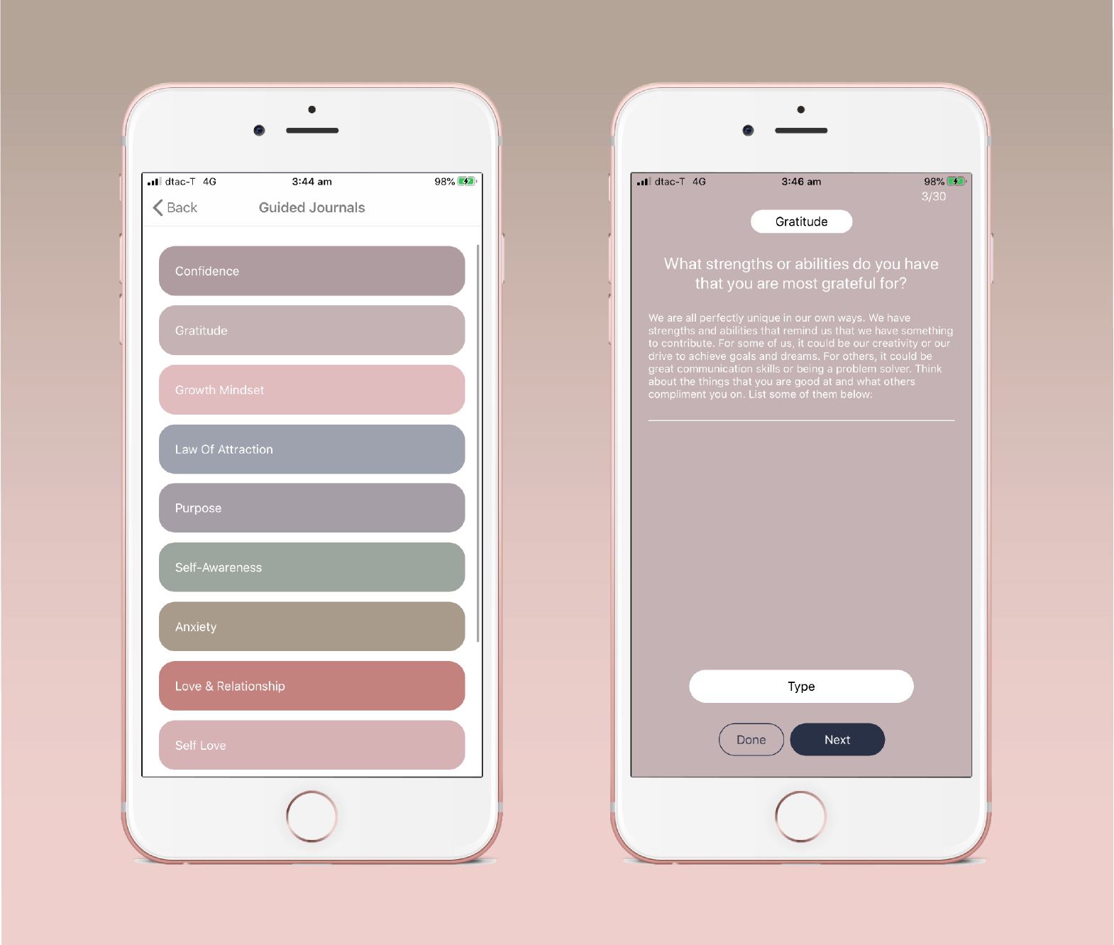 Gratitude Journal (digital) - The Happiness Planner®