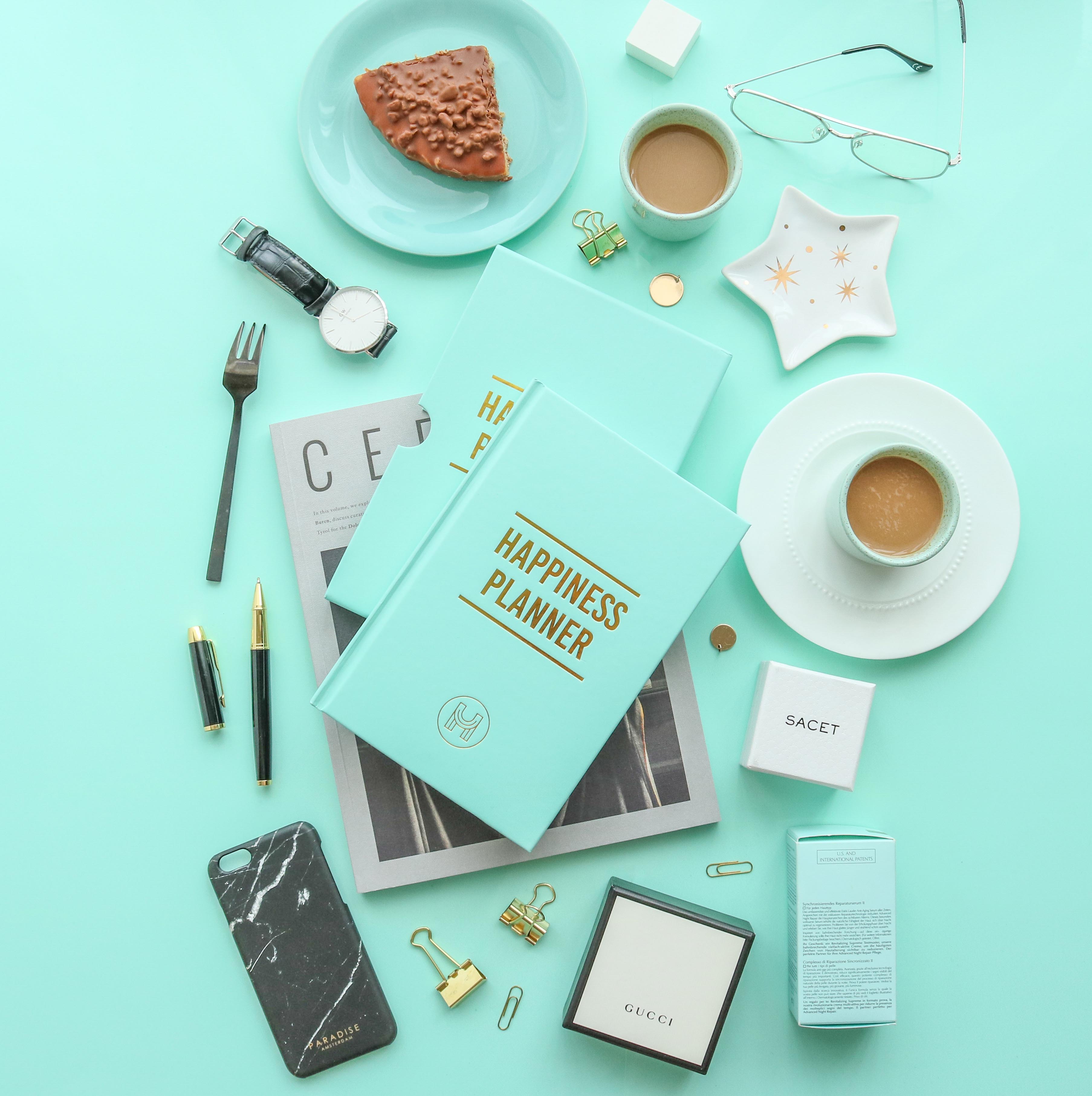 The 100-Day Planner | Mint & Gold - The Happiness Planner®