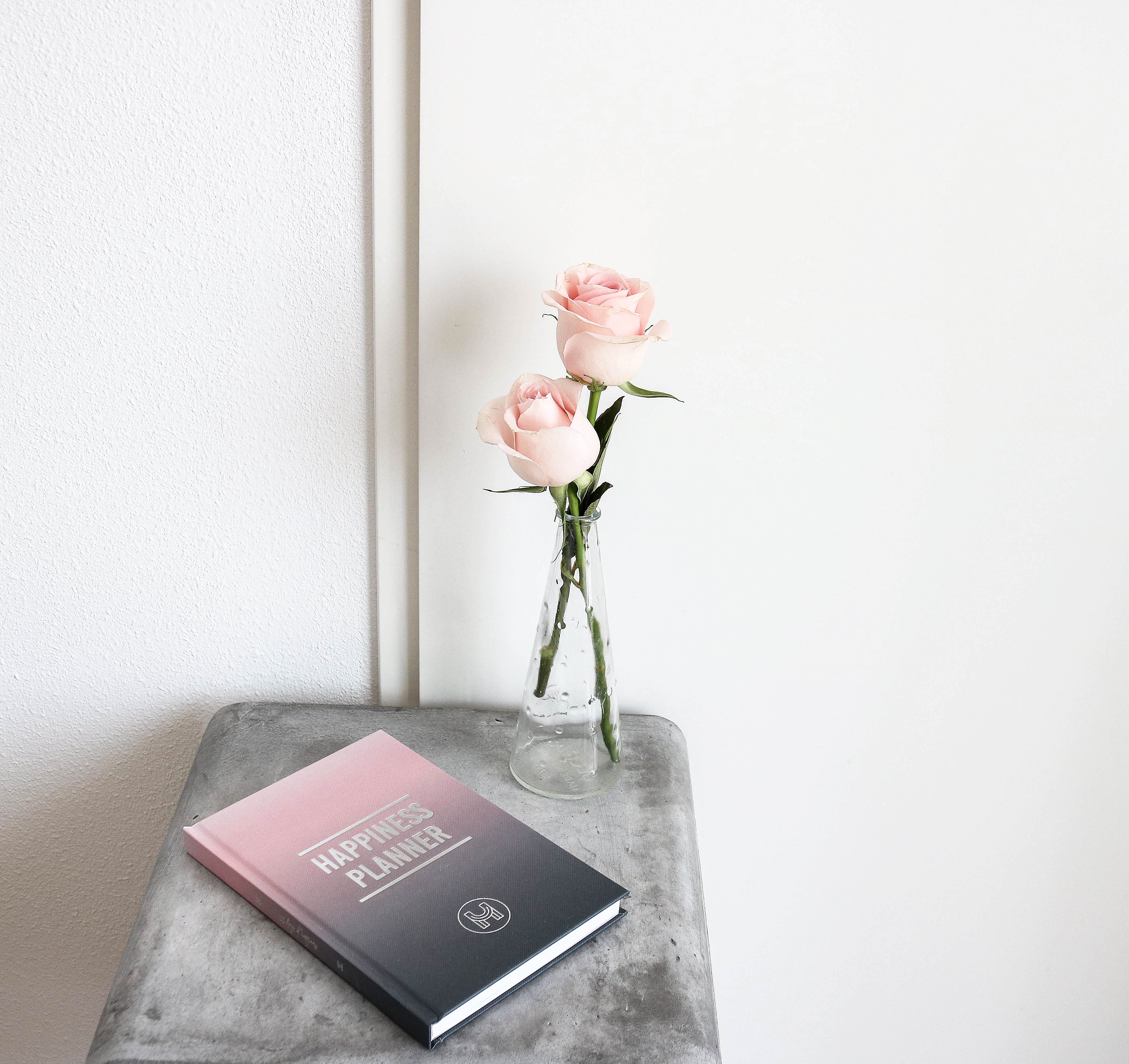 The 100-Day Planner | Pink & Charcoal - The Happiness Planner®