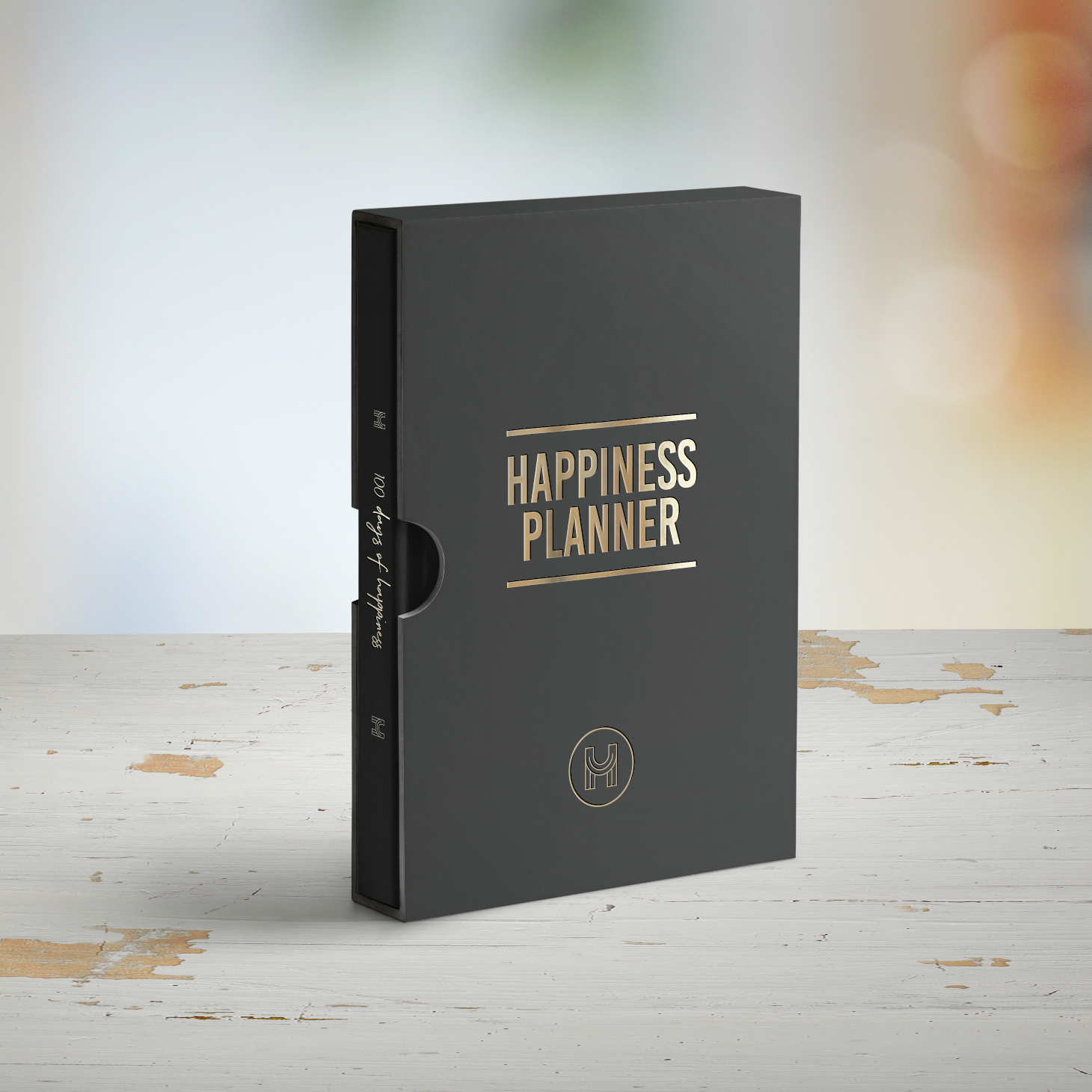 The 100-Day Planner | Black & Gold - The Happiness Planner®